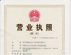 專利申請與商標(biāo)申請 保護(hù)知識產(chǎn)權(quán)的關(guān)鍵步驟